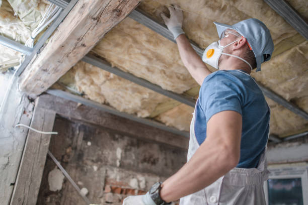Best Residential Insulation in Central City, IA